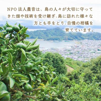 ふるさと納税 松山市 訳あり 温州みかん 5kg |  | 03
