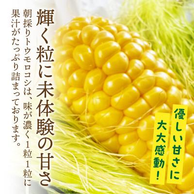 ふるさと納税 西尾市 まるで食べるコーンスープ[プレミアム味来]12本