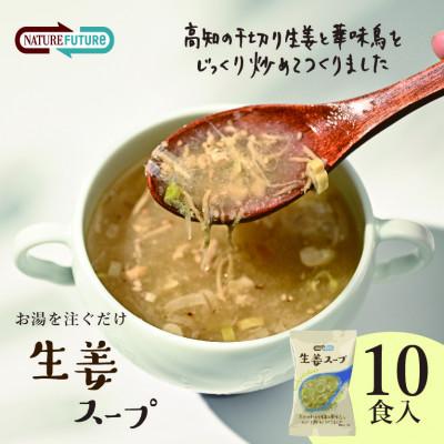 ふるさと納税 三田市 『NATURE FUTURe』フリーズドライ 生姜スープ 10食
