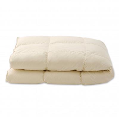 ふるさと納税 愛荘町 IWATA羽毛ふとん マザーグースダウン・セミダブルサイズ