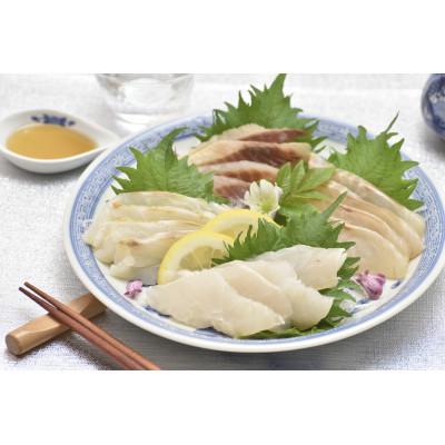 ふるさと納税 佐世保市 天然クエ刺しと魚介極め盛り | 
