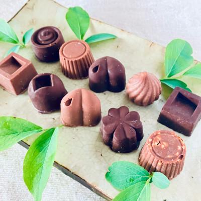 ふるさと納税 綾町 ミニミルク&amp;ビターチョコ詰合わせ 10個