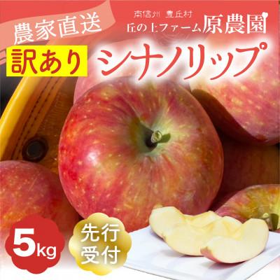ふるさと納税 豊丘村 [丘の上ファーム]夏りんご「シナノリップ」訳あり5kg 2026年8月より発送