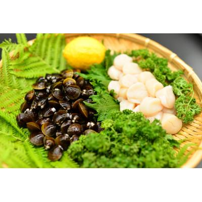 ふるさと納税 網走市 オホーツク海産 無添加帆立としじみ 各1kgセット