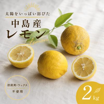 ふるさと納税 松山市 【10月下旬から順次発送】 レモン 2kg (14〜18玉) | 