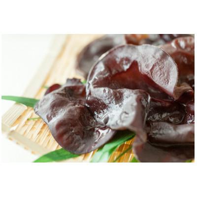 ふるさと納税 富士河口湖町 生きくらげ(500g)&amp;乾燥きくらげ(30g)乾燥きくらげカット(30g)きくらげ佃煮120g3種