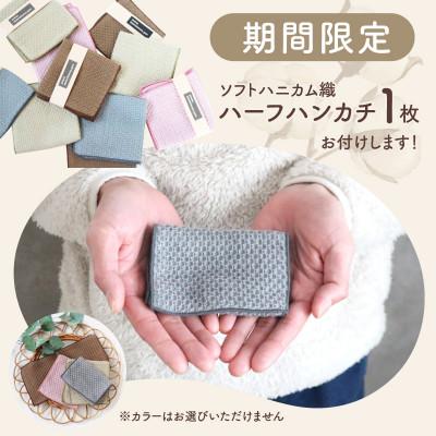 ふるさと納税 泉佐野市 《ソフトハニカム》泉州南部織miniバスタオル10枚(OV)+期間限定ハーフハンカチ1枚 G1978_3
