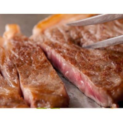 ふるさと納税 河合町 A5ランク黒毛和牛サーロインブロック 500g(ステーキ用ソース・スパイス付)