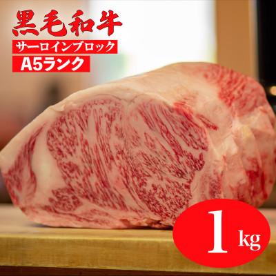 ふるさと納税 河合町 黒毛和牛 A5 サーロインブロック 1kg 冷蔵