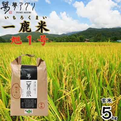 ふるさと納税 山鹿市 一鹿米 旭一号 栽培期間中肥料農薬不使用 米 玄米 5kg[株式会社夢アグリ][山鹿市]