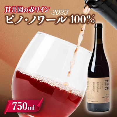 ふるさと納税 入間市 2023 赤ワイン　ピノ・ノワール100%　1本　貫井園のワイン | 