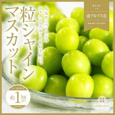 ふるさと納税 南アルプス市 山梨県南アルプス市産シャインマスカット 粒 ご家庭用 約1kg以上(2〜3房相当)