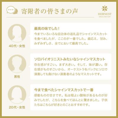 ふるさと納税 南アルプス市 山梨県南アルプス市産シャインマスカット　粒　ご家庭用　約1kg以上(2〜3房相当) |  | 02