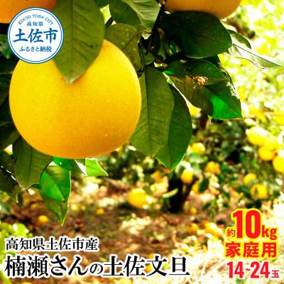 ふるさと納税 土佐市 高知県土佐市産 楠瀬さんの土佐文旦 家庭用 約10kg(4L〜Lサイズ　14〜24玉) | 