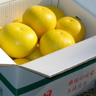 ふるさと納税 土佐市 高知県土佐市産 楠瀬さんの土佐文旦 贈答用 小玉 約10kg(L〜Mサイズ 24〜30玉) |  | 03