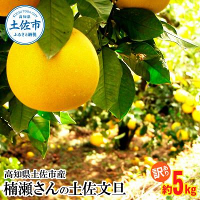 ふるさと納税 土佐市 [訳あり]高知県土佐市産 楠瀬さんの土佐文旦 約5kg(4L〜Lサイズ 7〜12玉)