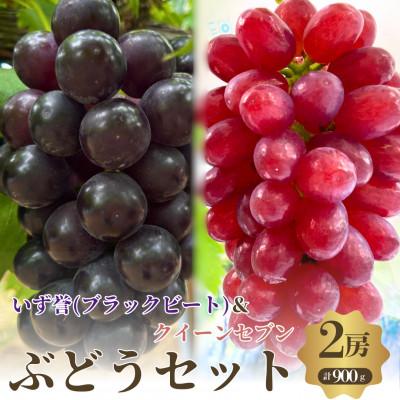 ふるさと納税 岸和田市 おすすめ感謝セット クイーンセブン+泉湧誉 2房セット