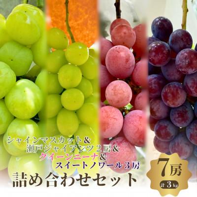 ふるさと納税 岸和田市 ご家庭用!おすすめ感謝7房セット 3kg詰め合わせ