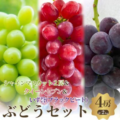 ふるさと納税 岸和田市 おすすめ感謝セット シャインマスカット2房+クイーンセブン+泉湧誉 4房セット