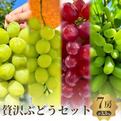 ふるさと納税 岸和田市 贅沢極旨ぶどうのセット 4種7房詰め合わせ