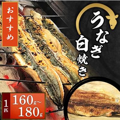 ふるさと納税 寝屋川市 [冷凍1匹]大阪の名店 うなぎ白焼き160g〜180g