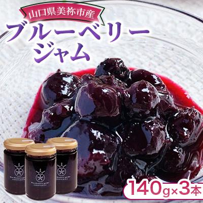 ふるさと納税 美祢市 山口県美祢市産ブルーベリージャム3本
