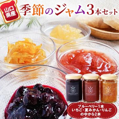 ふるさと納税 美祢市 山口県産季節のジャム3本セット