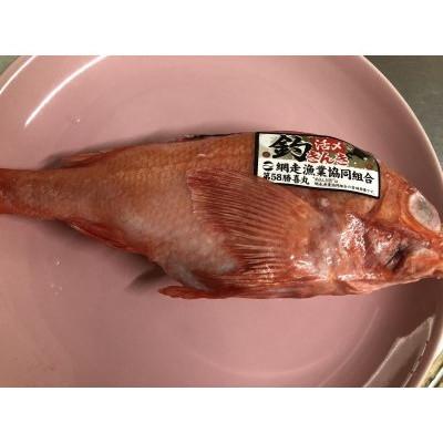 ふるさと納税 網走市 オホーツク海網走産 生冷凍釣りキンキ 2尾(合計1kg)