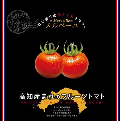 ふるさと納税 芸西村 高知産フルーツトマト「メルベーユ」約1.5kg