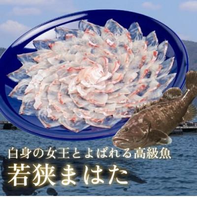 ふるさと納税 小浜市 福井県小浜市産若狭ふぐとマハタ刺身4人前_2