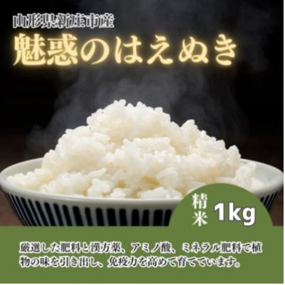 ふるさと納税 新庄市 魅惑のはえぬき(精米)1kg
