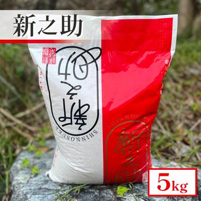 ふるさと納税 五泉市 [令和7年産米]新潟県産 新之助 5kg