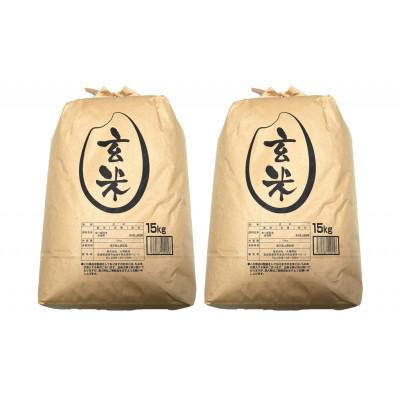 ふるさと納税 栗原市 【令和8年産】宮城栗原産 つや姫 玄米30kg (15kg