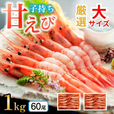 ふるさと納税 小浜市 とろける甘さぷりぷり食感! 子持ち甘えび　500g(約30尾)×2箱　 | 