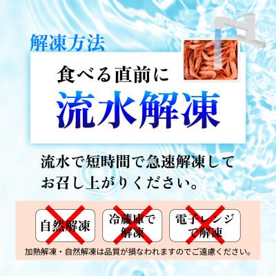 ふるさと納税 小浜市 とろける甘さぷりぷり食感! 子持ち甘えび　500g(約30尾)×2箱　 |  | 02
