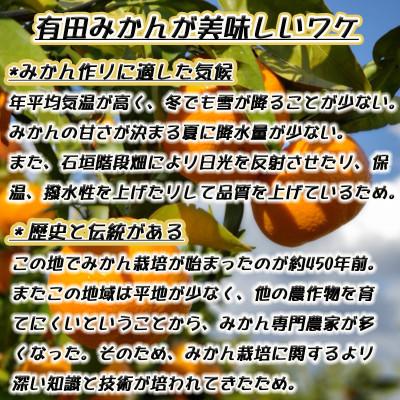 ふるさと納税 美浜町 有田みかん【特秀品小玉S〜M、高糖度】5kg! 2026