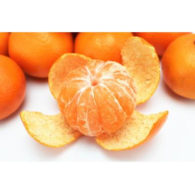 ふるさと納税 美浜町 有田みかん【特秀品小玉S〜M、高糖度】5kg! 2026