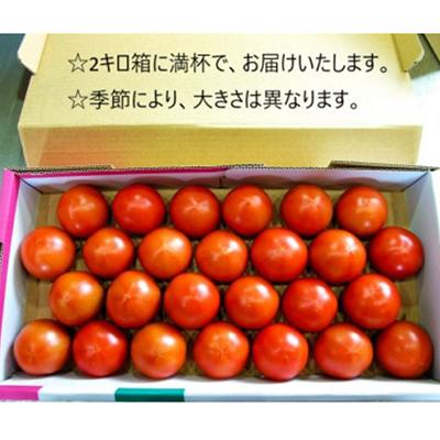 ふるさと納税 小矢部市 【事前受付】フルーツトマト(深層水トマト)2キロ【濃厚な甘みと旨み】 |  | 01