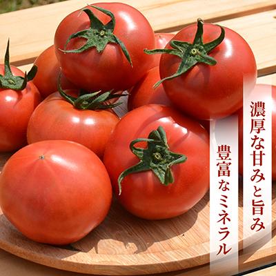 ふるさと納税 小矢部市 【事前受付】フルーツトマト(深層水トマト)2キロ【濃厚な甘みと旨み】 |  | 02