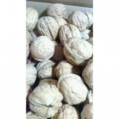 ふるさと納税 長野県 信濃くるみ[長野県東御市産ブランド]1kg(大粒) 殻付き 令和7年産 新物[国産]