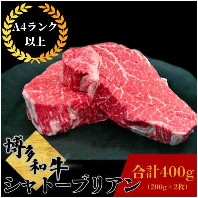ふるさと納税 那珂川市 博多和牛シャトーブリアン 約200g×2枚(計約400g)[肉のくまもと屋]