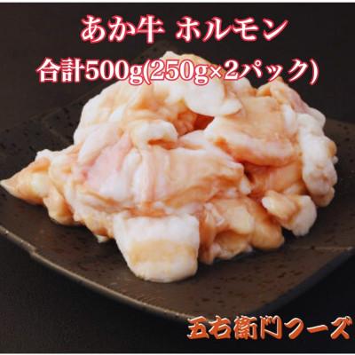 ふるさと納税 大津町 あか牛 白ホルモン 500g(250g×2パック)(大津町)