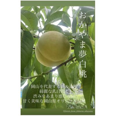 ふるさと納税 美咲町 おかやま夢白桃