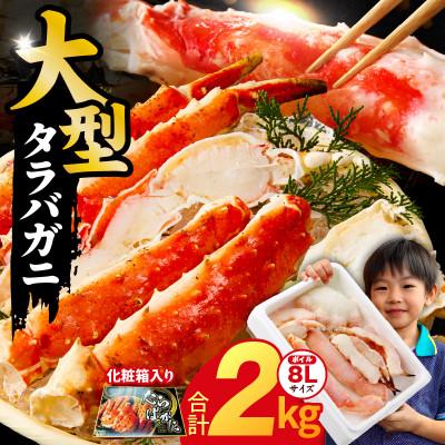 ふるさと納税 泉佐野市 大型ボイルタラバガニ 2kg 8Lサイズ 昆布仕立て 化粧箱入り ギフト