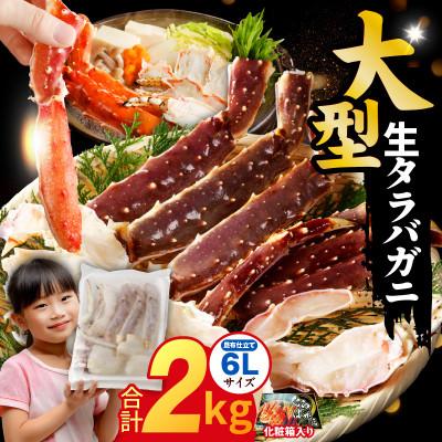 ふるさと納税 泉佐野市 生タラバガニ 2kg 大型 6Lサイズ 昆布仕立て 化粧箱入り ギフトにも