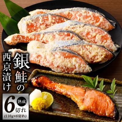 ふるさと納税 泉佐野市 熟成 銀鮭 西京漬け 110g×6切れ