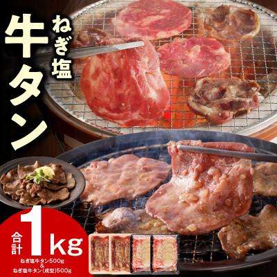 ふるさと納税 泉佐野市 ねぎ塩 牛タン 食べ比べセット 合計1kg 牛タン 500g/成型牛たん 500g 010B1769