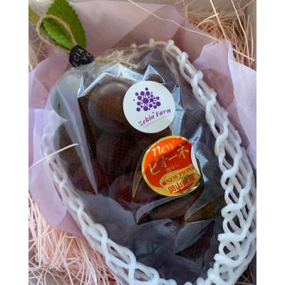 ふるさと納税 浅口市 岡山産ニューピオーネ 2房(1kg前後)