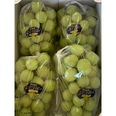 ふるさと納税 浅口市 [農家直送]岡山産 シャインマスカット2kg 朝どれ!3-4房