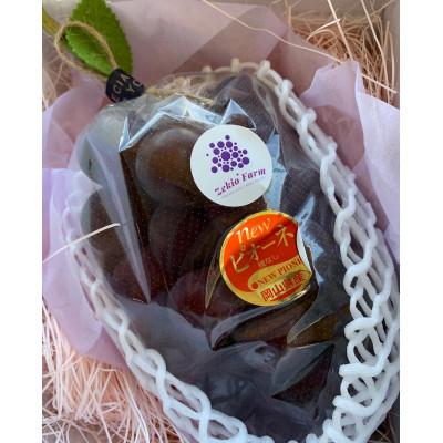 ふるさと納税 高梁市 [農家直送]先行予約 岡山産 ニュー ピオーネ 1kg前後(2房)朝どれぶどう